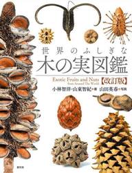 世界のふしぎな木の実図鑑