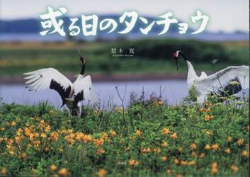或る日のタンチョウ