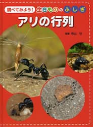 クリックして画像を拡大