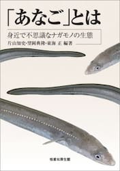 「あなご」とは　身近で不思議なナガモノの生態