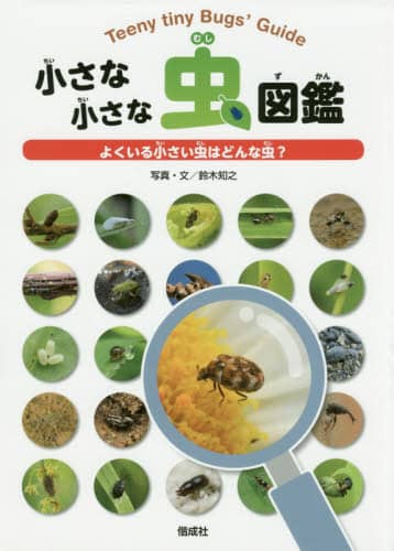 小さな小さな虫図鑑 よくいる小さい虫はどんな虫？/鈴木知之