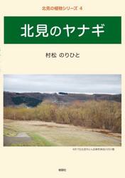 北見のヤナギ