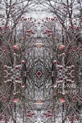 アンヌたちの庭