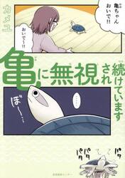 亀に無視され続けています