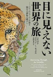 目に見えない世界の旅　ペルーのシャーマンが語る聖なる植物の癒やし