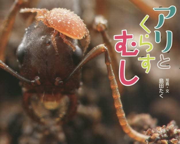 AƂ炷ނ