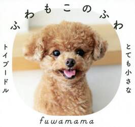 クリックして画像を拡大