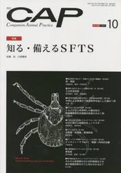 ＣＡＰ　３８８