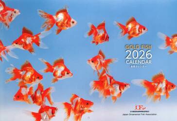 ２０２６金魚カレンダー