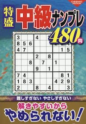 特盛中級ナンプレ