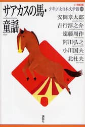 ２１世紀版少年少女日本文学館　１８