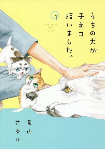 うちの犬が子ネコ拾いました。　１