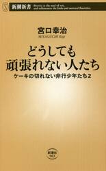 どうしても頑張れない人たち　ケーキの切れない非行少年たち　２
