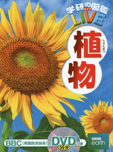 植物