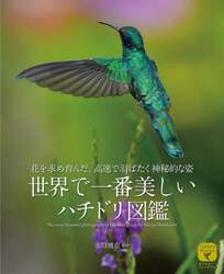 商品詳細画像