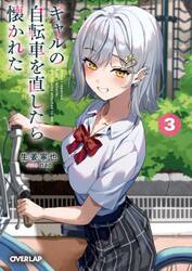 ギャルの自転車を直したら懐かれた　３