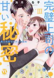 完璧上司の甘い秘密　３