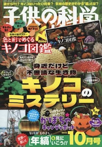 商品詳細画像