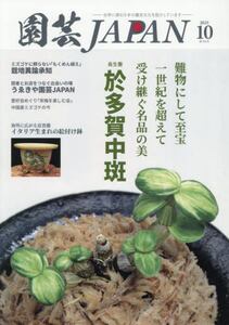 商品詳細画像