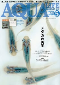 i摜