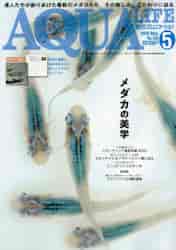 i摜