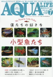 i摜