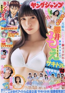 商品詳細画像