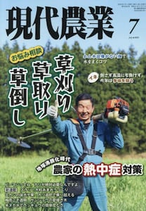 商品詳細画像